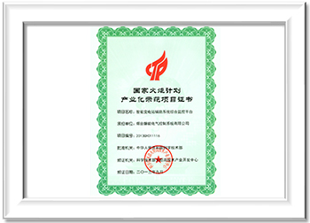 国家火炬计划产业化示范项目证书